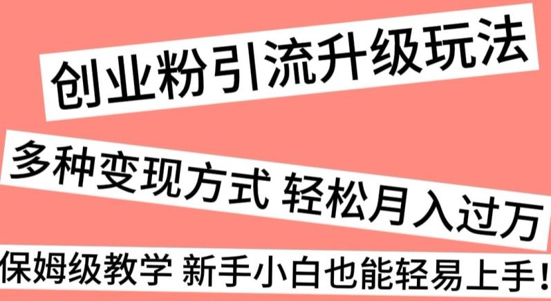 创业粉引流升级玩法，多种变现方式轻松月入过万，保姆级教学新手小白也能轻易上手！-千创分享