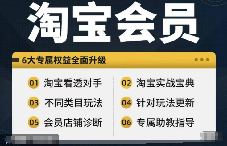 淘宝会员【淘宝所有课程，全面分析对手】，初级到高手全系实战宝典-千创分享